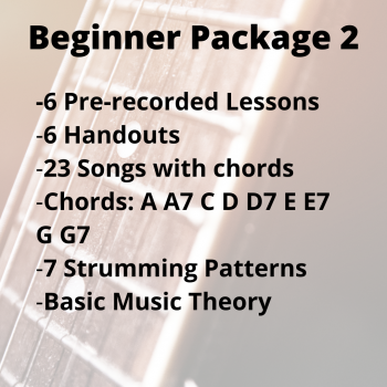 Beginner Package 2 | Groove with the Guitar, guitar lessons
